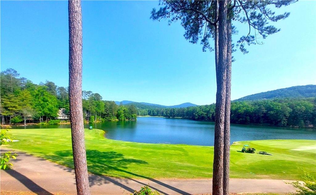 26 Chestnut Oak Point, Jasper, Georgia image 25