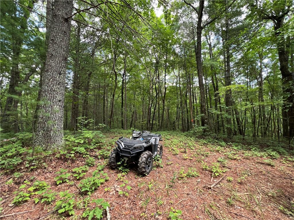 00000 Whitecliff Drive, Ellijay, Georgia image 3