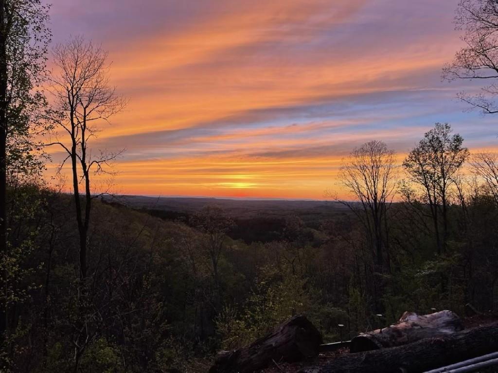 Lot 11 Firetower Road
