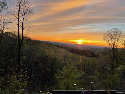 11 FIRE TOWER RD, JASPER, GA 30143 - Image d75f00a9e64f599819e6d9645a9227cc/2809604984