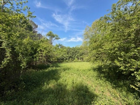 Vacant Land For Sale - 811 Ammons Road<br/> Waleska, GA 30183