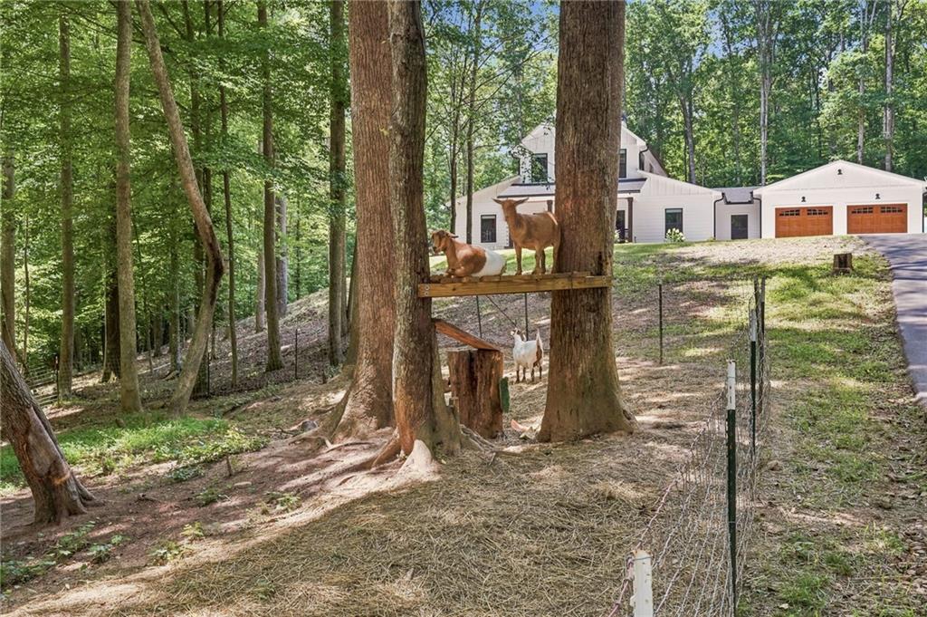 1684 Fairview Road
