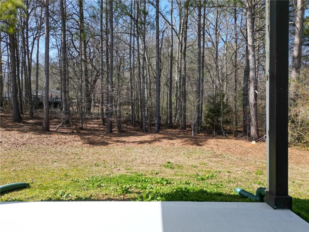 202 Glenview Trail, Griffin, Georgia image 38