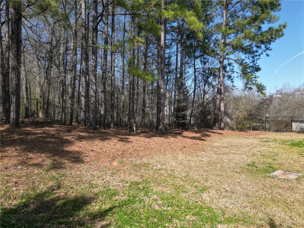 202 Glenview Trail, Griffin, Georgia image 42