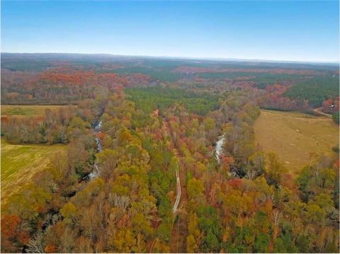 Vacant Land For Sale - 702 Liner Road<br/> Tallapoosa, GA 30176