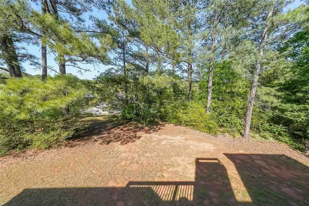 3230 Letha Woods Drive, Conyers, Georgia image 37