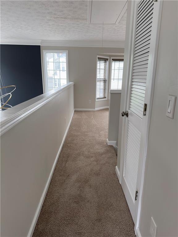1703 Feast Court, Cumming, Georgia image 19