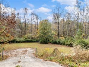 2773 River Road, Ellenwood, Georgia image 7