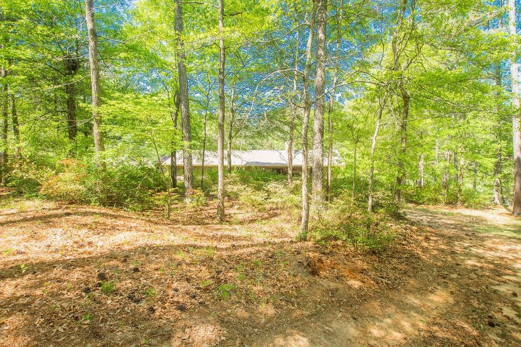 2956 Gum Creek Road, Oxford, Georgia image 47
