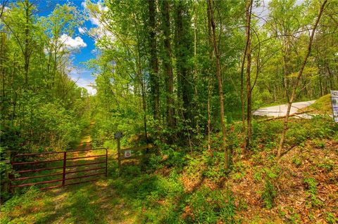 0 Antioch Valley Road Trct 3 Dawsonville GA 30534
