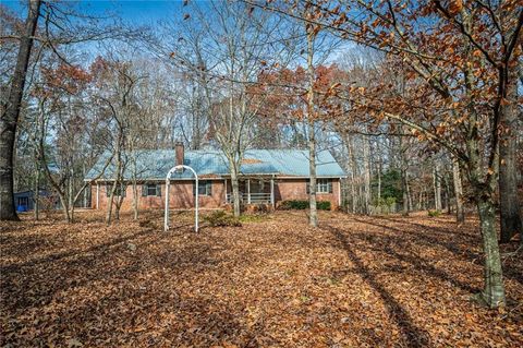 323 McCartan Trail Clarkesville GA 30523