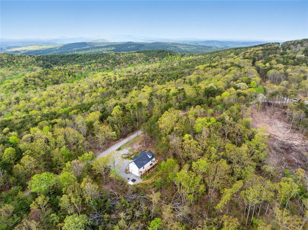587 Oak Trace, Jasper, Georgia image 47