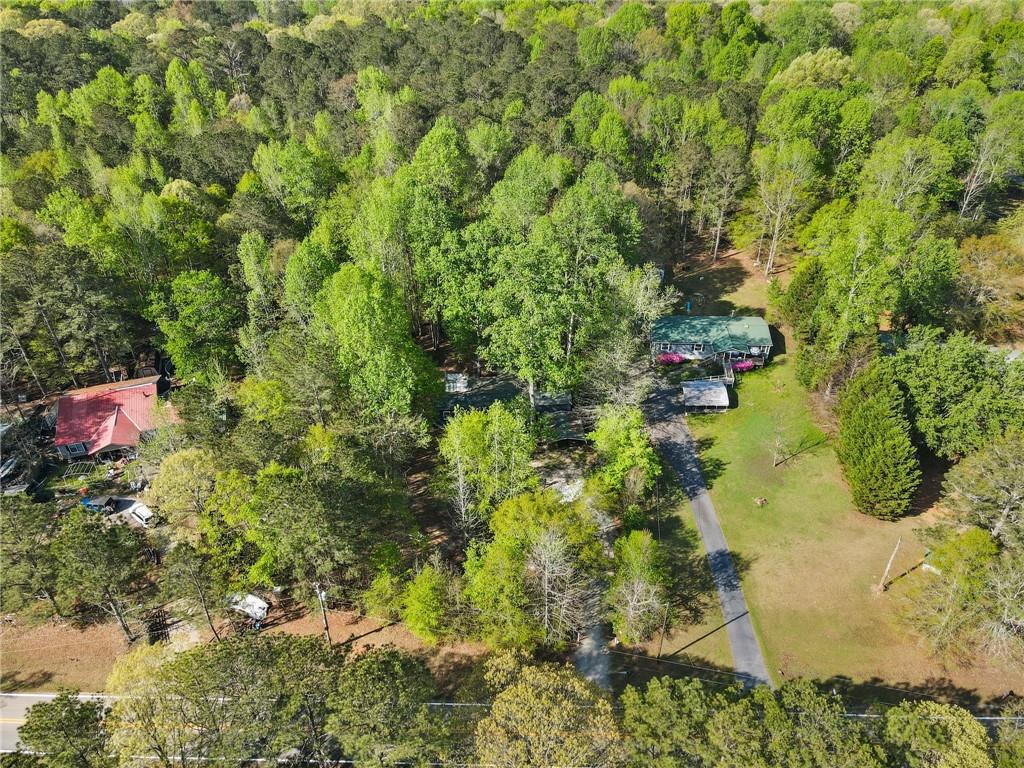 3541 Hutcheson Ferry Road, Whitesburg, Georgia image 28