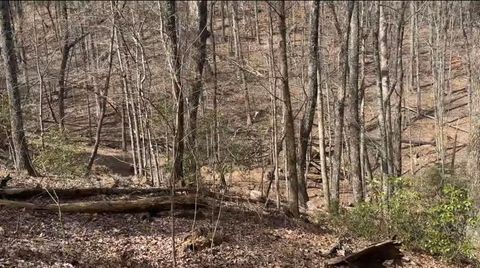 Vacant Land For Sale - Valley View Drive<br/> Jasper, GA 30143