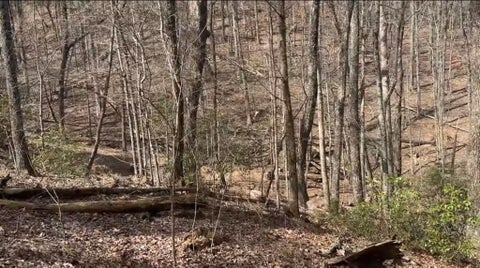Vacant Land For Sale - Valley View Drive<br/> Jasper, GA 30143