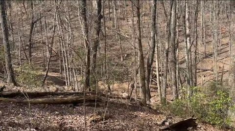 0 Valley View Drive Jasper GA 30143