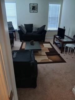 330 Dressage Court