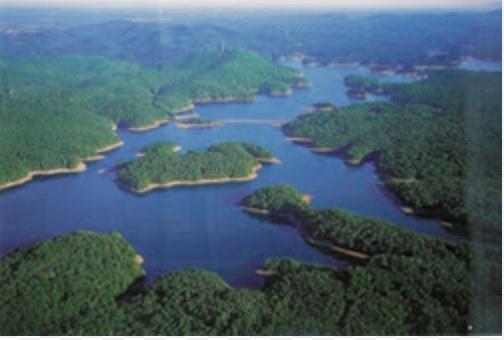 Coats & Clark - Residential