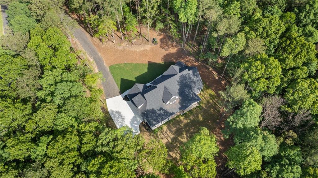 5567 Tyree Road, Winston, Georgia image 9