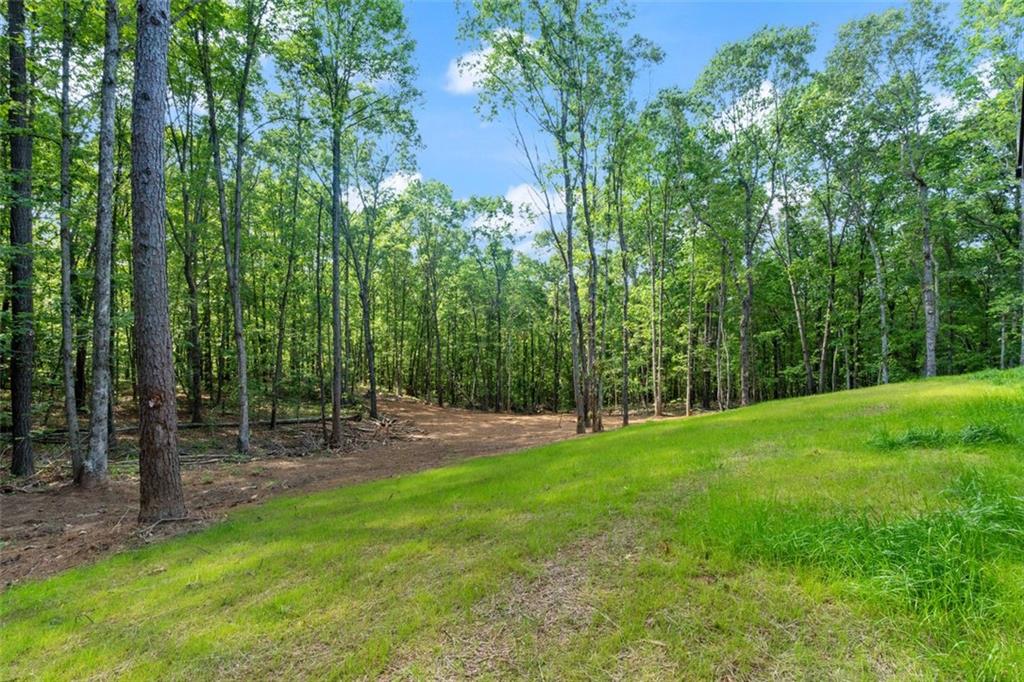 5567 Tyree Road, Winston, Georgia image 40