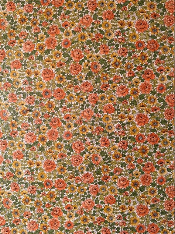 WEST COBB - Residential