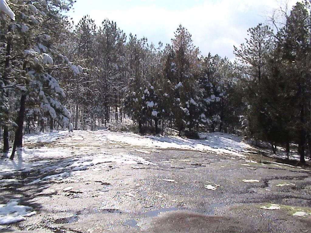 Atlanta Newnan Road, Chattahoochee Hills, Georgia image 12