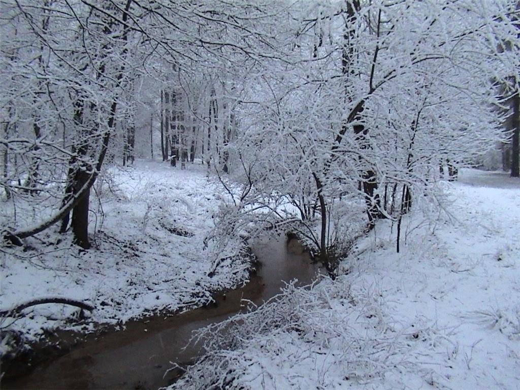 Atlanta Newnan Road, Chattahoochee Hills, Georgia image 8