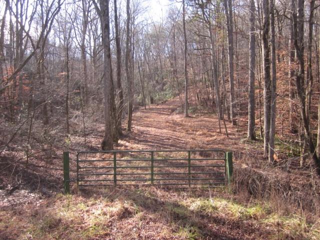 00 Pettit Road Road, Jasper, Georgia image 3