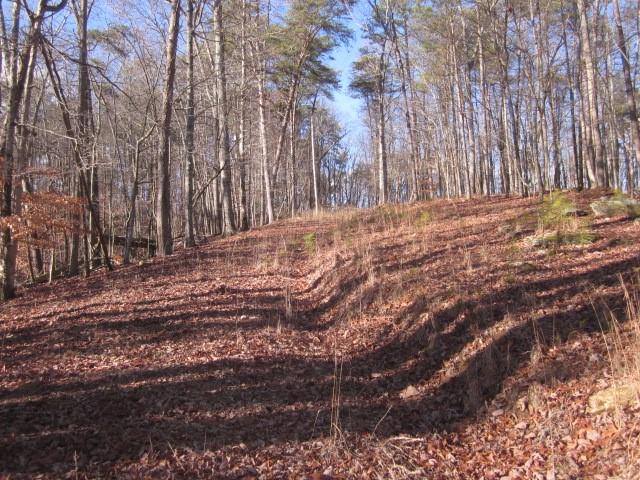 00 Pettit Road Road, Jasper, Georgia image 7