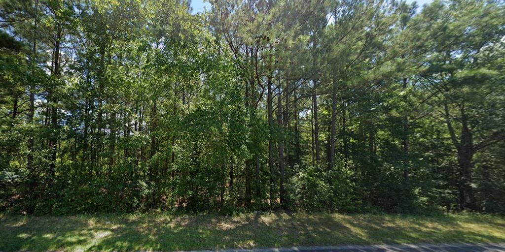 1096 Buckner Road, Junction City, Georgia image 3
