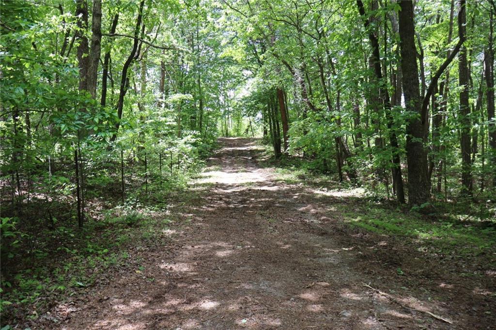 Parksbrook Road, Ellijay, Georgia image 33