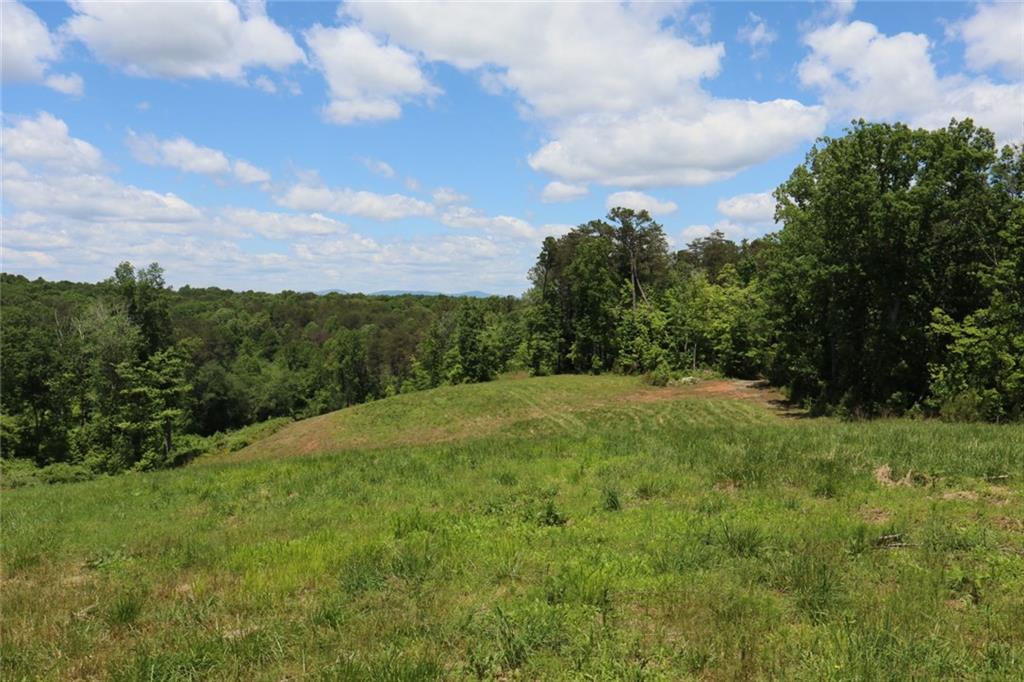 Parksbrook Road, Ellijay, Georgia image 7