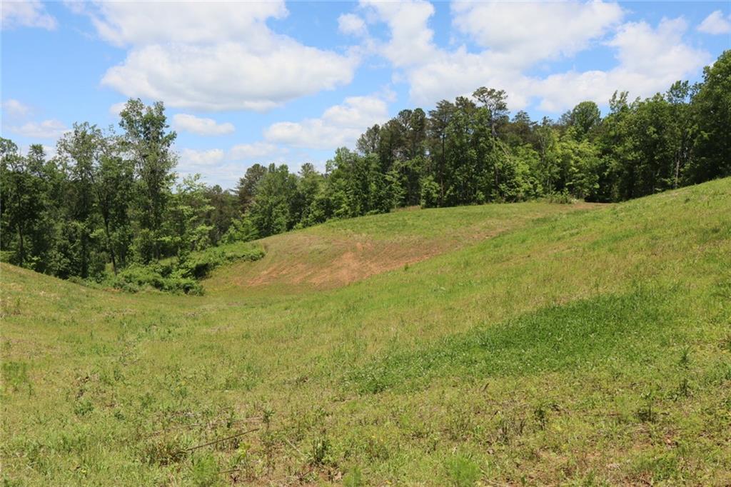 Parksbrook Road, Ellijay, Georgia image 8