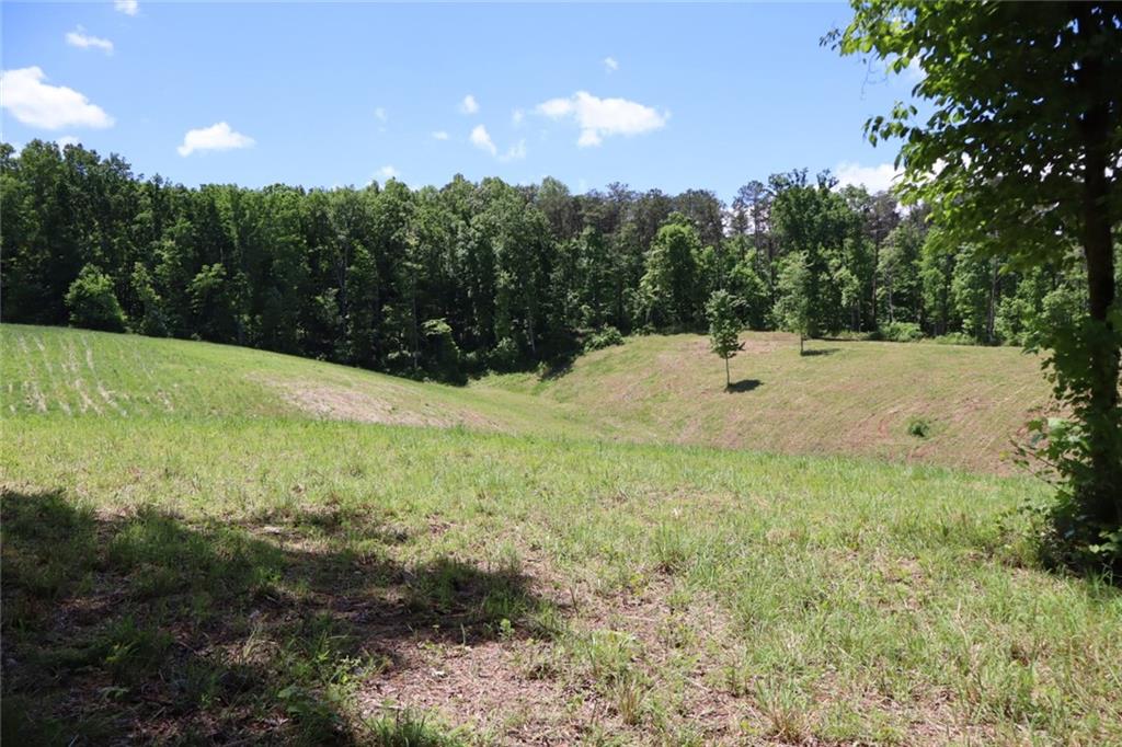 Parksbrook Road, Ellijay, Georgia image 11