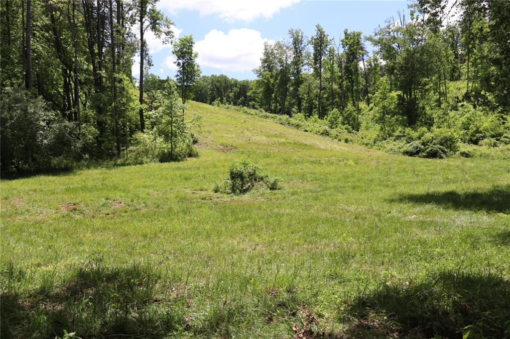 Parksbrook Road, Ellijay, Georgia image 13