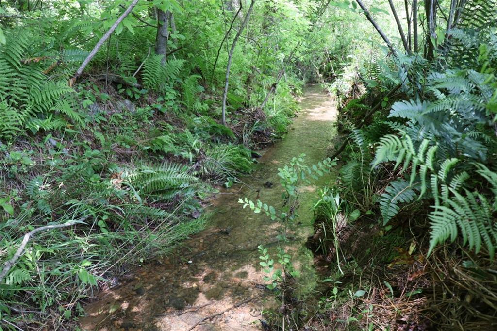 Parksbrook Road, Ellijay, Georgia image 25