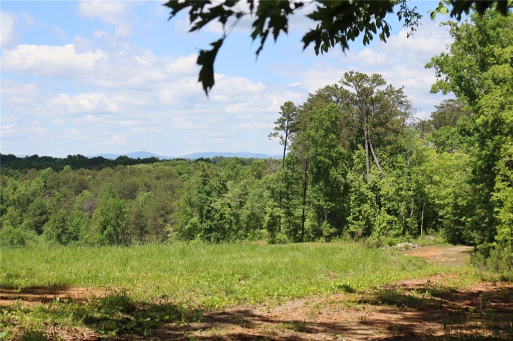 Parksbrook Road, Ellijay, Georgia image 35