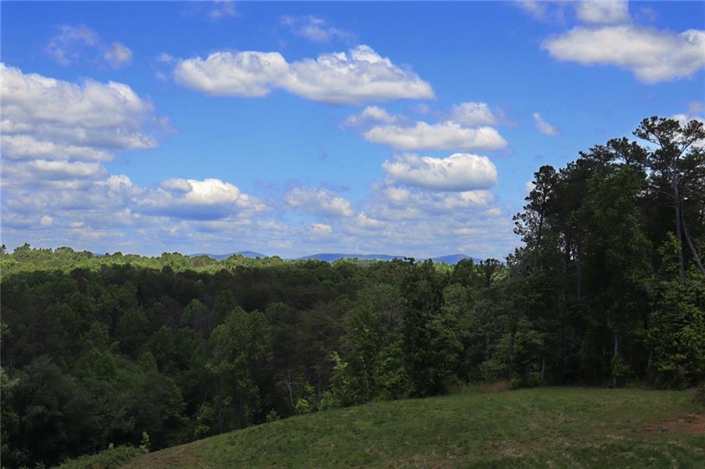 Parksbrook Road, Ellijay, Georgia image 10