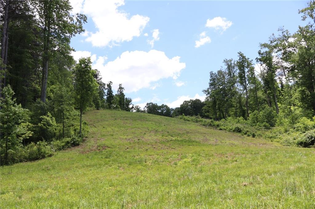 Parksbrook Road, Ellijay, Georgia image 14