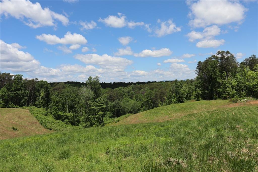 Parksbrook Road, Ellijay, Georgia image 2