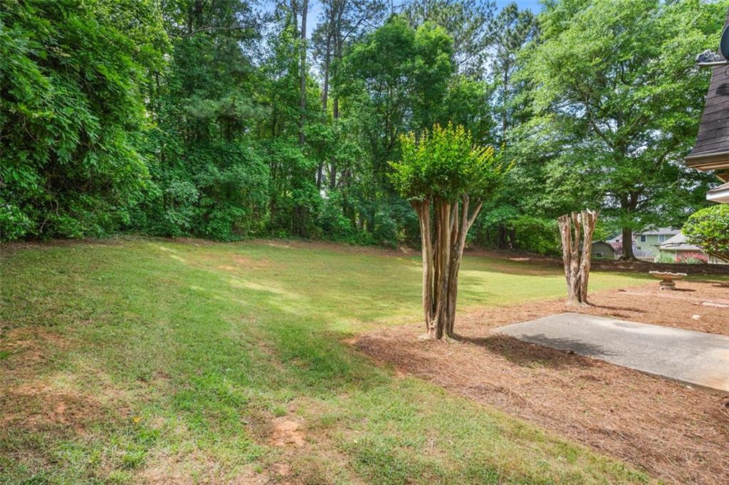 221 The Esplanade Way, Loganville, Georgia image 37