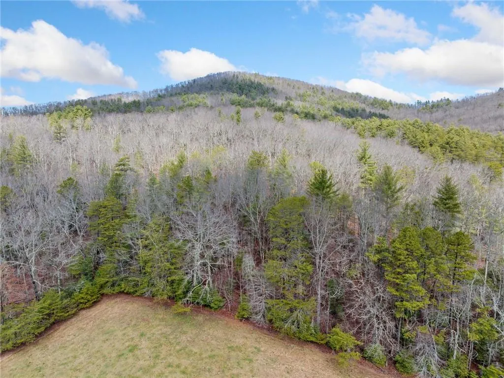 Blairsville, Georgia 30512, United States, ,Land,Active,5136