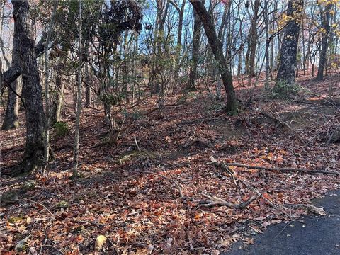 Vacant Land For Sale - 1323 Briar Vista<br/> Jasper, GA 30143