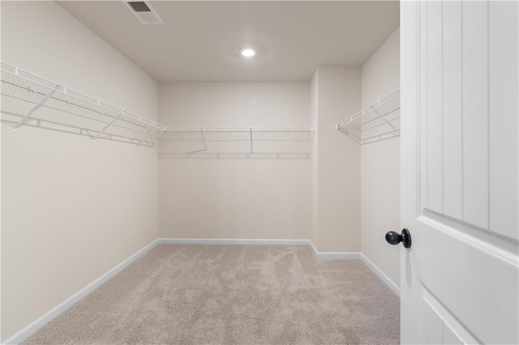 165 Haverling Pass, Hampton, Georgia image 45