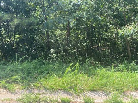 Vacant Land For Sale - 37 Etowah Lane<br/> Bartow County, Cartersville, GA 30120