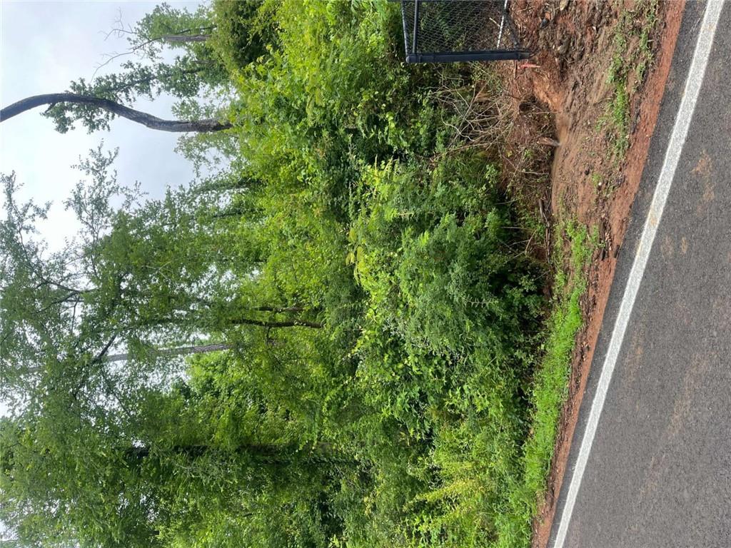 N/a Chickasaw Lane, Jackson, Georgia image 1