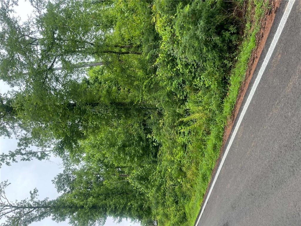 N/a Chickasaw Lane, Jackson, Georgia image 4