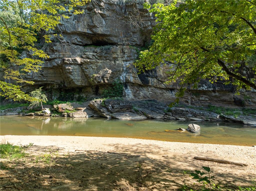 Marie Drive, Talking Rock, Georgia image 15