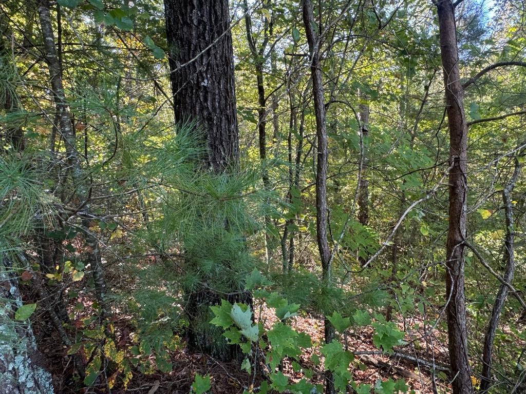 Marie Drive, Talking Rock, Georgia image 1