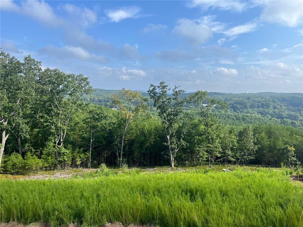234 Laurel Vista Drive